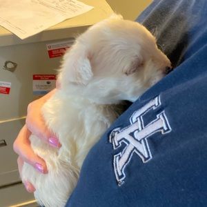 Meet your Posher, Shellie